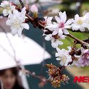 진해구 ⓒ-42 이미지