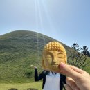 호랑이청년 | DAY 1: 대릉원/황리단길 맛집/향택/이치니산도/첨성대/월정교/붉은호랑이/내돈내산 후기/2박 3일 추천 코스