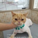 여주-0279 네이버블로그