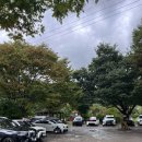 원조 고향식당 | 청송 맛집 6시 내고향 원조신촌식당 닭불백숙, 닭어깨봉이 맛있는 곳 가족모임 추천