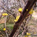 다윗농장 이미지