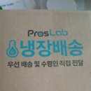 자동차씨트카바할인마트 | 프로스랩 키즈 프로바이오틱스 복용 관찰 후기