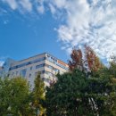 푸른길정형외과의원 이미지