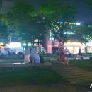 마셔마셔 뉴스1
