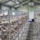 정도태양광발전소 이미지