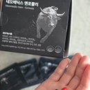 참메딕스 | [남성영양제 / 전립선 건강] 남편을 위한 네오메딕스 맨포뮬러 솔직 후기 🎁