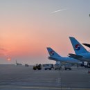 약사란제리 | [5] 아프니까 청춘인가?