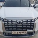 카랜드라인 이미지