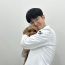 24시 마이동물의료센터 이미지