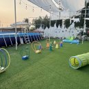 개꿀하우스 이미지