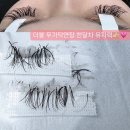 샤니래쉬