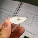 당뇨 수치를 급격히 낮추는 방법: 케어센스 에어 사용 후기