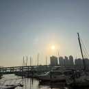 브라보요트 네이버블로그