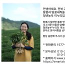 고창 이엠 이미지