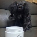 자연속의 펫 | 강아지탈취제 모노아워 펫프렌들리 실내방향제 사용 후기