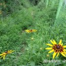 당동배수펌프장 이미지