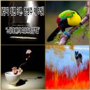 03)5~6. 莊子장자 內篇내편 第03篇 養生主양생주(第5~6章)/손흥민유니폼,노딜 정상회담,쇄빙선,마크롱,군병력 워싱턴DC, 이미지