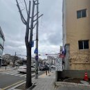 도원미장원 이미지