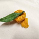 (주)올제 이미지