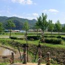 보호수광장 | 안동여행 가볼만한곳 2일차 :) 안동 중앙신시장 옥야식당 젤라또 아차가 안동하회마을