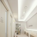 24시 코끼리동물병원 이미지