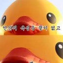 라니피트니스 이미지