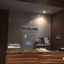 더셀트리스파 이미지