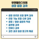 플랜유앤