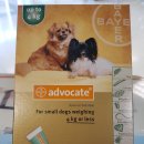 코끼리 동물약국 이미지