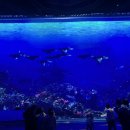 월령소라스테이 이미지