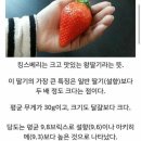 킹스베리 이미지