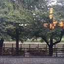 아껴줄개 이미지