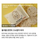 테이쑤티 이미지