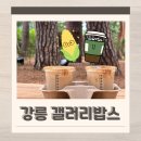 더밥스 | 강릉 커피맛집 갤러리밥스 웨이팅 주차 맛 찐후기