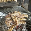 캠핑고기