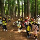 늘솔길근린공원 이미지