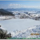 아영면 일대마을 이미지