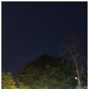 달빛정원 이미지
