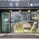 서울고양이분양 묘연 이미지