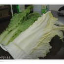 대창돼지찌개 이미지