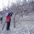 영희농장2 이미지