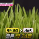 보리&보리 이미지