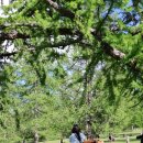 몽골, 중부투어 후기 : 초원•통나무집•쳉헤르온천 완벽 정리 [6월 몽골 여행 ep.1]