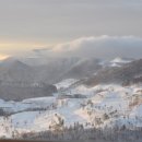 우리인삼 - 용인시 처인구 | 우리인삼