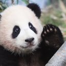 우한수 애견미용실 이미지