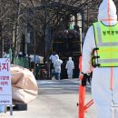 화성양돈 이미지