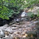 무주화원 이미지