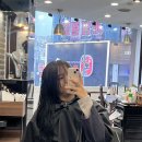 안양 일번가 ; 뽀끌레헤어 ㅣ 긴머리 레이어드컷, 두피클리닉 후기