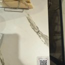 파스타브로 | [맛집왕추천]수유 ‘파스타브로 ’솔직후기 | 배달 단골이 매장 가보고 놀란 이유 🍝