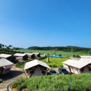 비비오토캠프 이미지